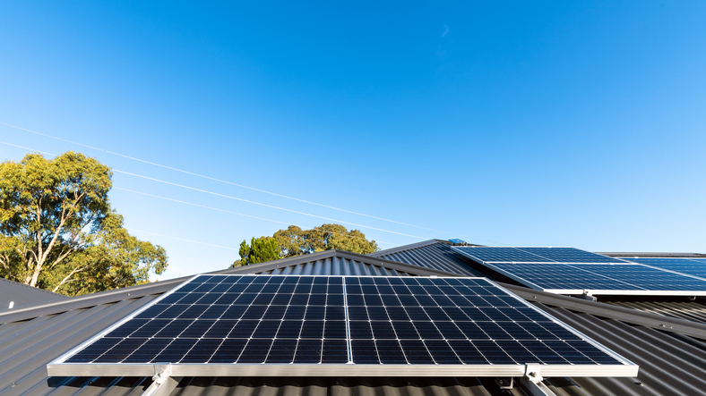 Should our governments incentivise EVs like they do for household rooftop solar panels?