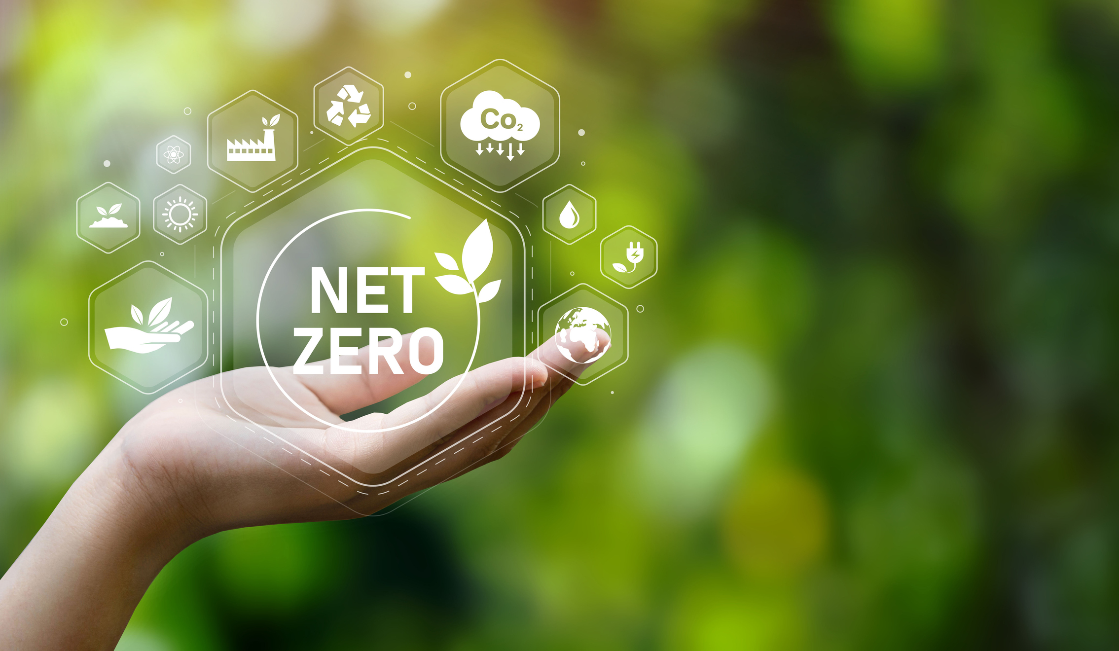 Developing Strategic Solutions for Net Zero Emissions