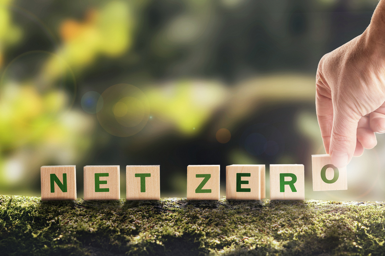 Transitioning to Net Zero: Learnings and Challenges Ahead