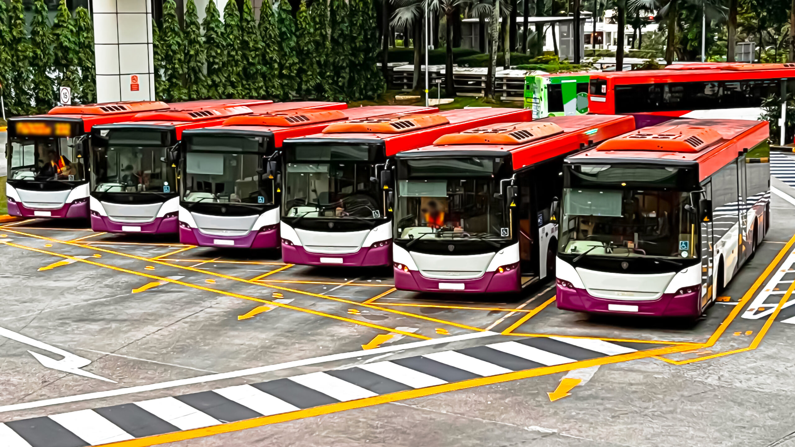 Singapore’s Public Bus Fleet Gets A New Look, Comfier Seats